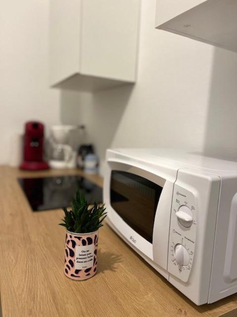 Cosy Rent-Strasbourg Gare 1-Wifi Apartment Luaran gambar