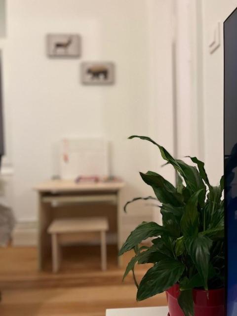 Cosy Rent-Strasbourg Gare 1-Wifi Apartment Luaran gambar